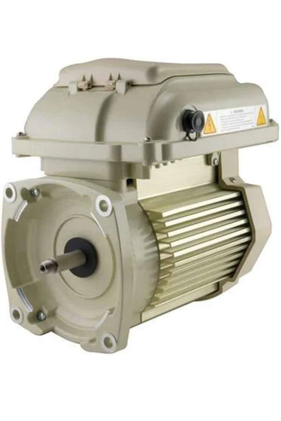 Pentair 356288S SuperFlo VS VST and SuperMax VS motor and drive assembly almond genuine OEM