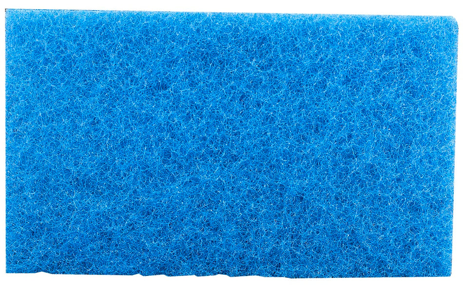 Hayward Spring Cleanup Filter, 2/Pack | RCX70103PAK2