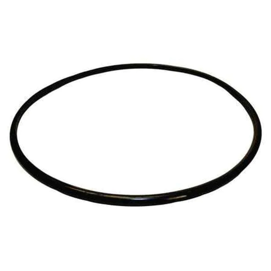Pentair Seal Plate O-Ring U9-373Z – Reliable Replacement Seal for Pool Pumps & Filters